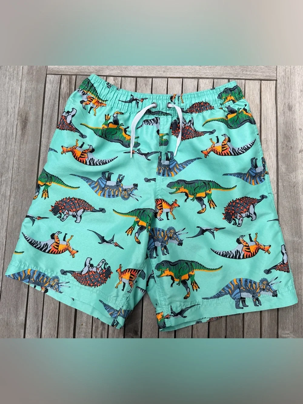 KIDS HANNA ANDERSSON Dinosaur Print Swim Trunks - Aqua - SIZE 10
